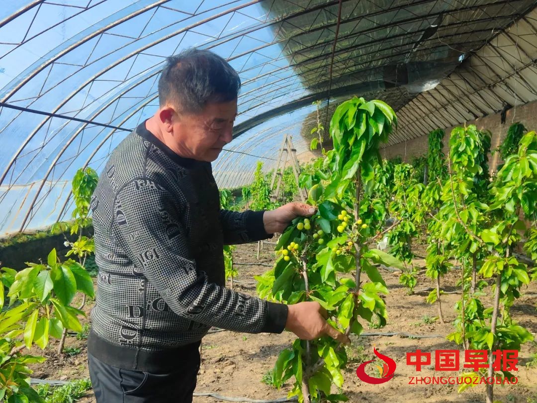 图片05.jpg