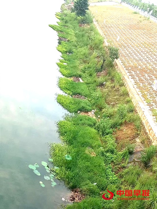 微信图片_20220801094949.jpg