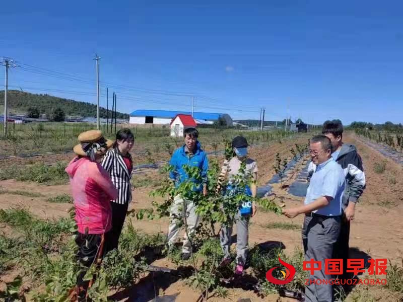 图片03.jpg