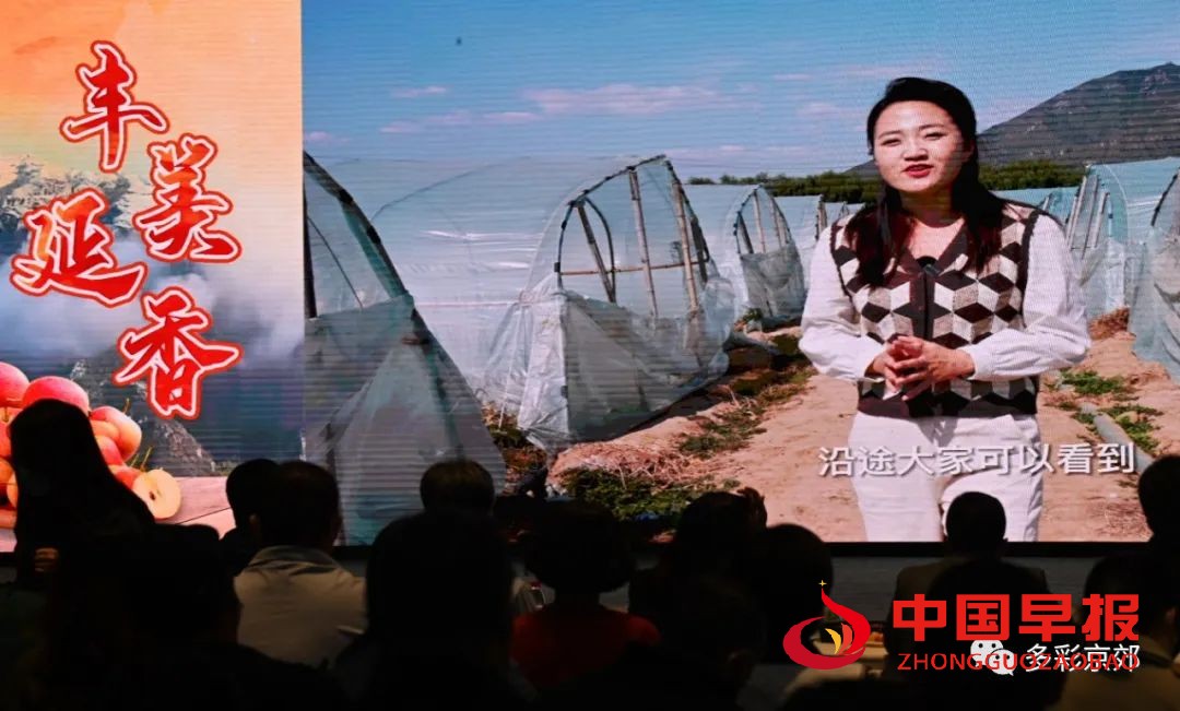 图片03.jpg