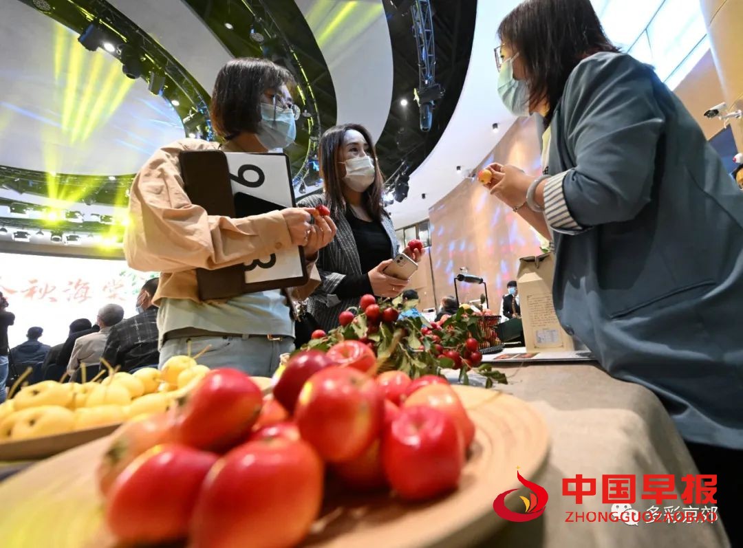 图片04.jpg