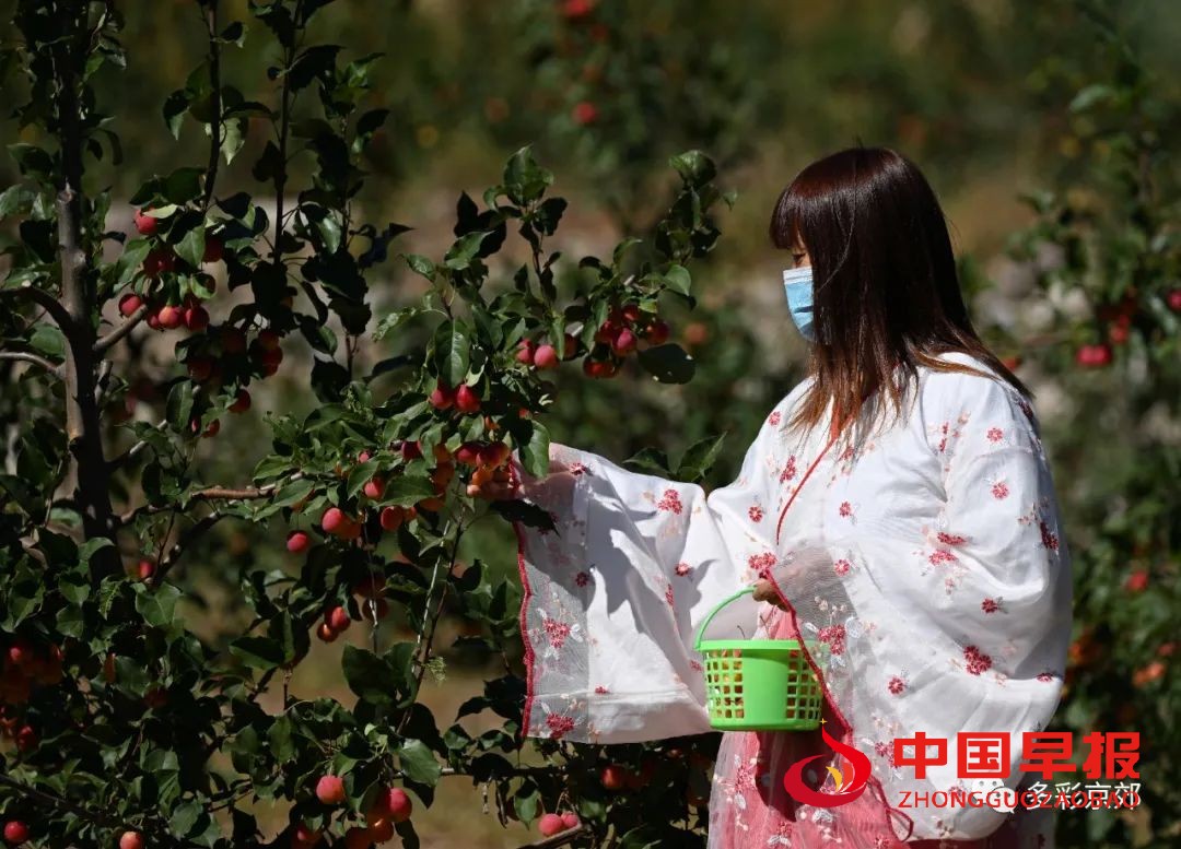 图片08.jpg