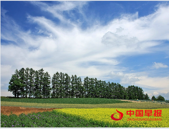 2田野.png