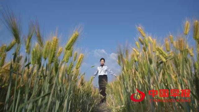 微信图片_20250523080144.jpg