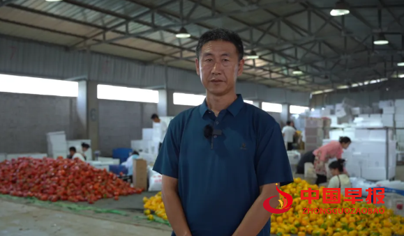 图片02.png