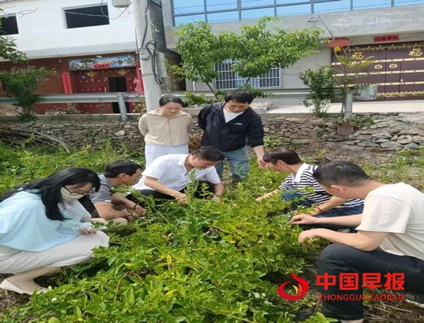 图片2.jpg