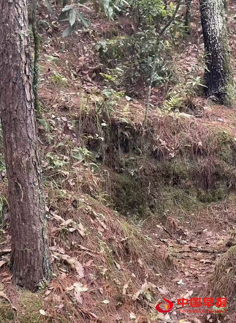 1752363709121425.jpg 1752363709121425.jpg