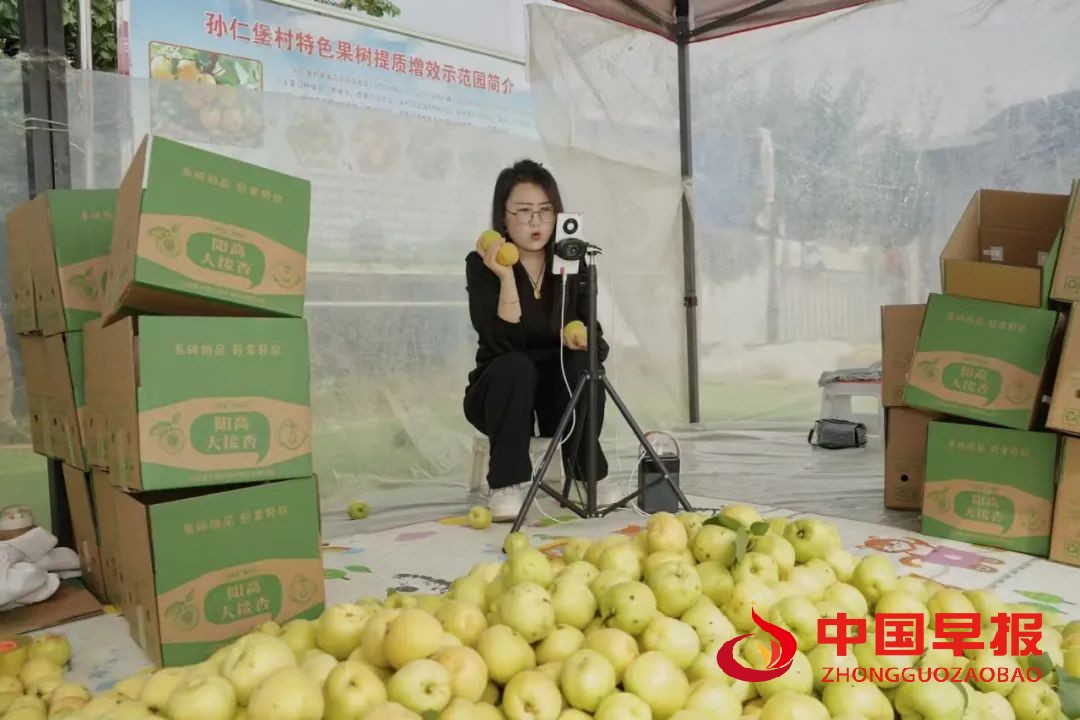图片06.jpg