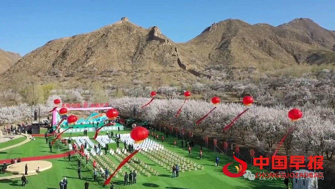 图片011.jpg