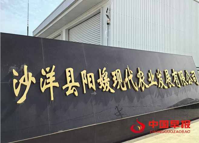 4阳媛公司.png