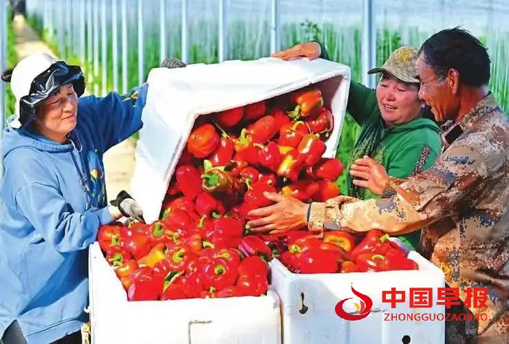 图片05.jpg