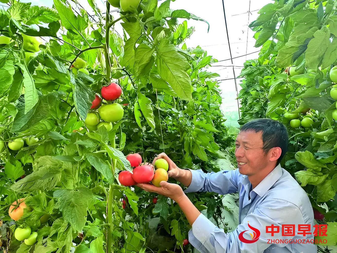 图片010.jpg