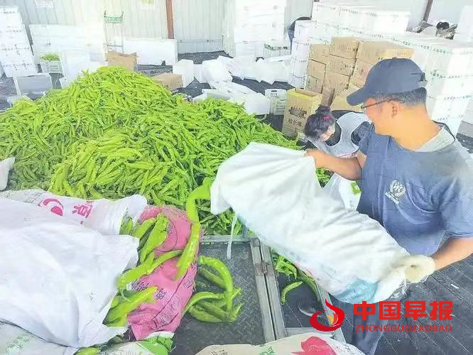 图片011.jpg