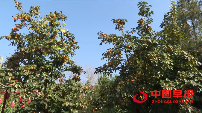 微信图片_2025-10-22_190624_221.png