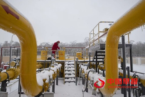 1763967972253166.jpg 4.jpg