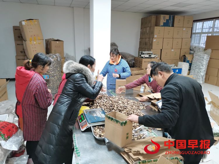 图片04.jpg