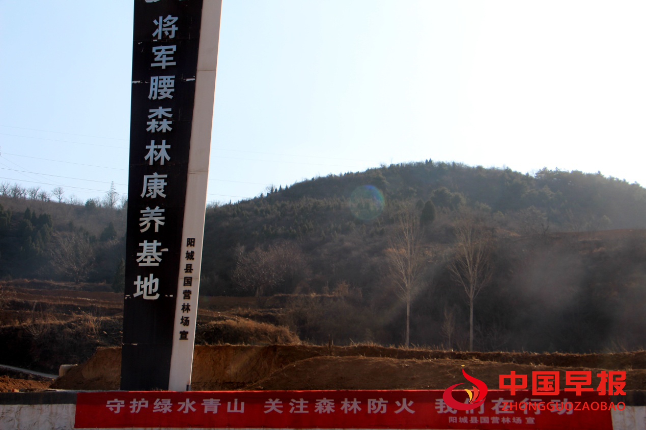 图片01.png