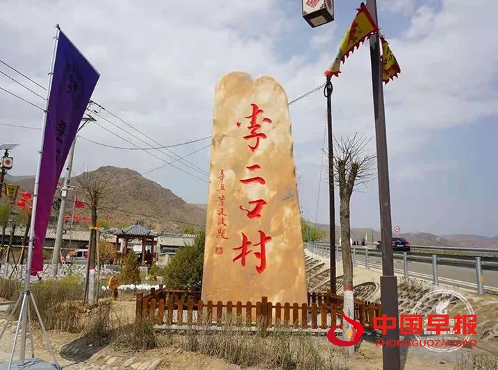 图片010.jpg