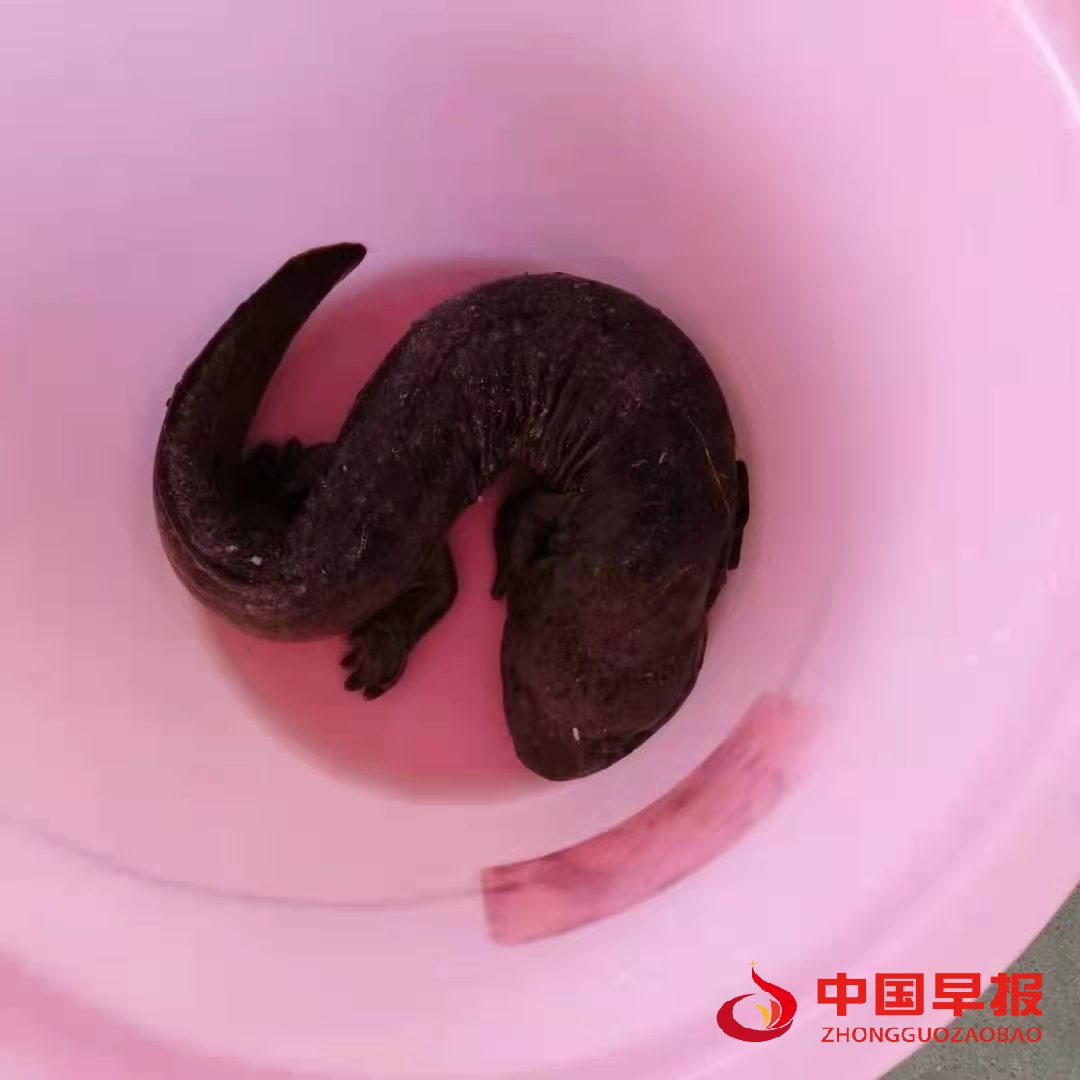 微信图片_20110101001444.jpg