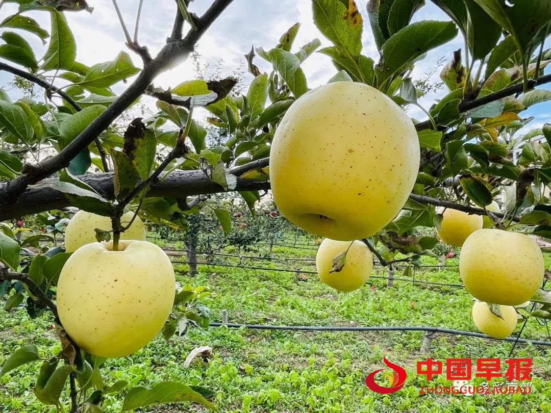 图片05.jpg