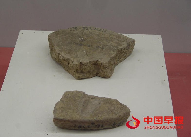 微信图片_20220418090713.png