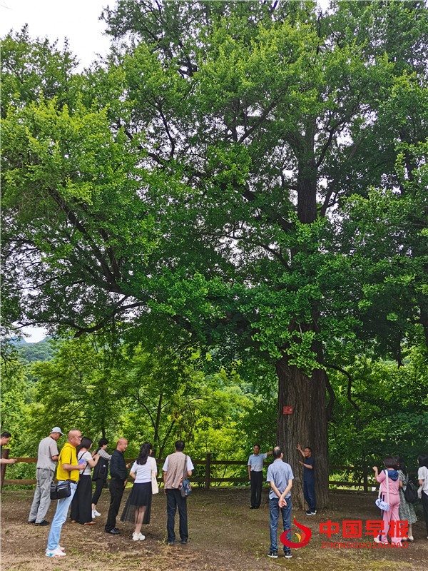 微信图片_20220612180051.jpg