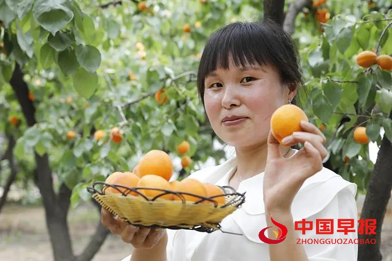 图片04.jpg