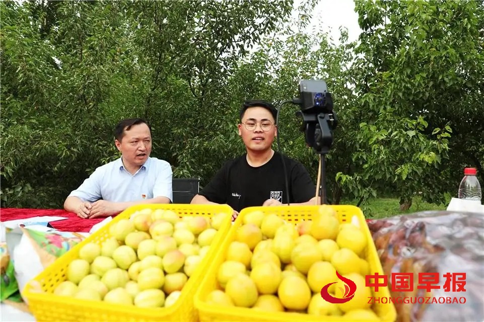图片05.jpg