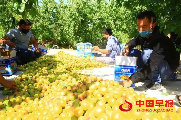 图片06.jpg
