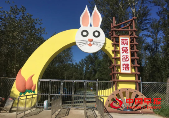 图片03.png