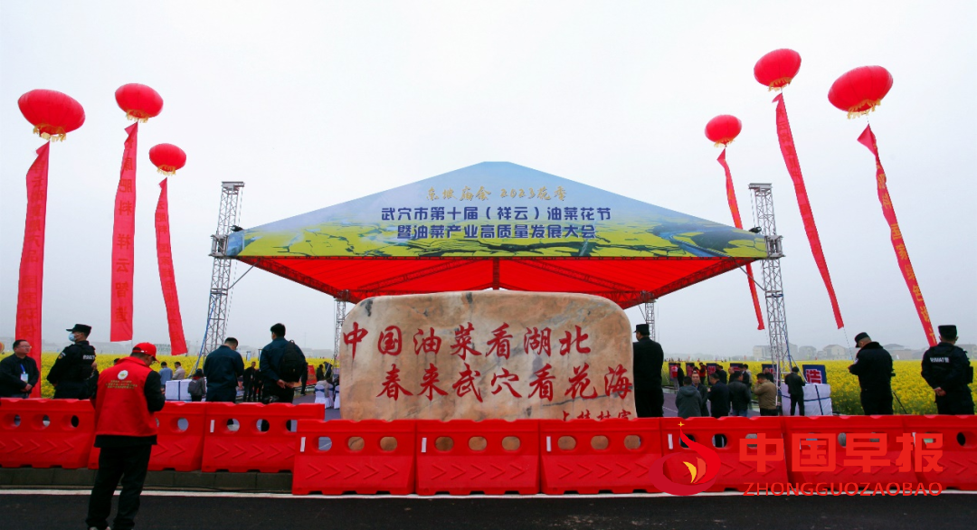 图片01.png