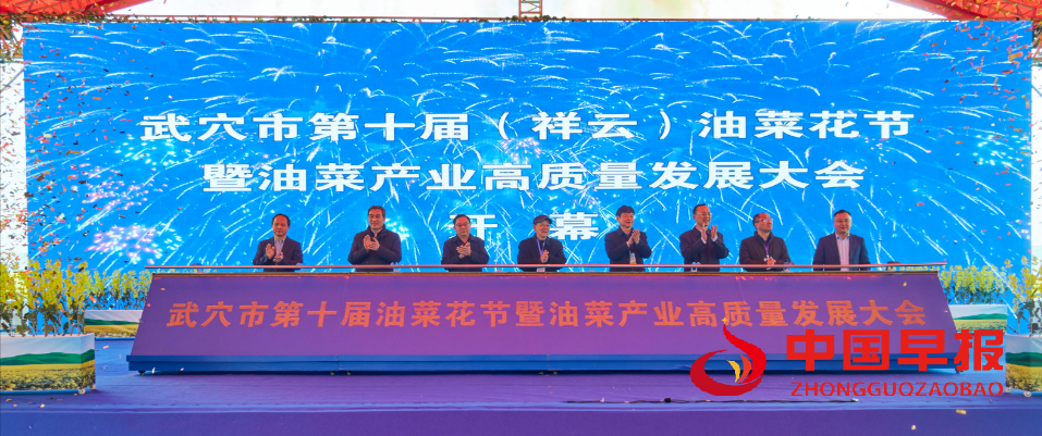 图片02.png