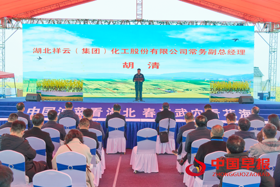 图片03.png