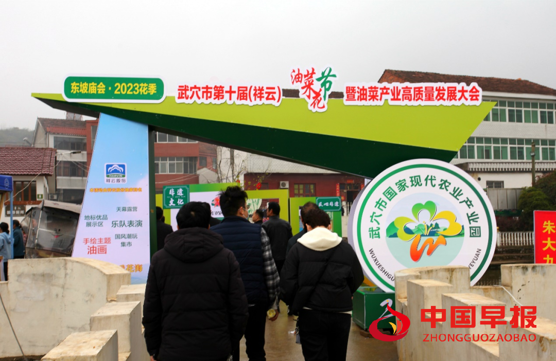 图片08.png