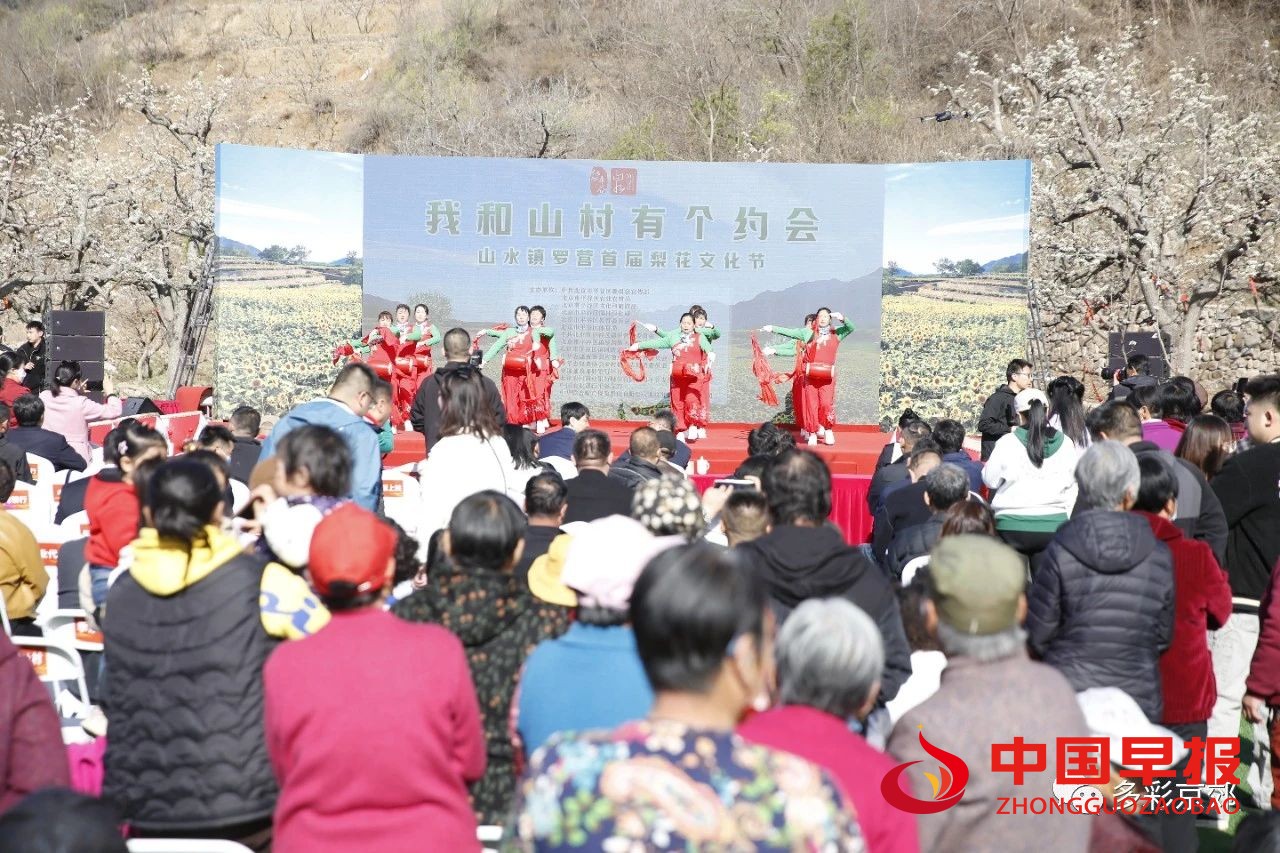 图片01.jpg