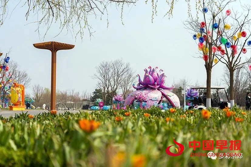 图片01.jpg