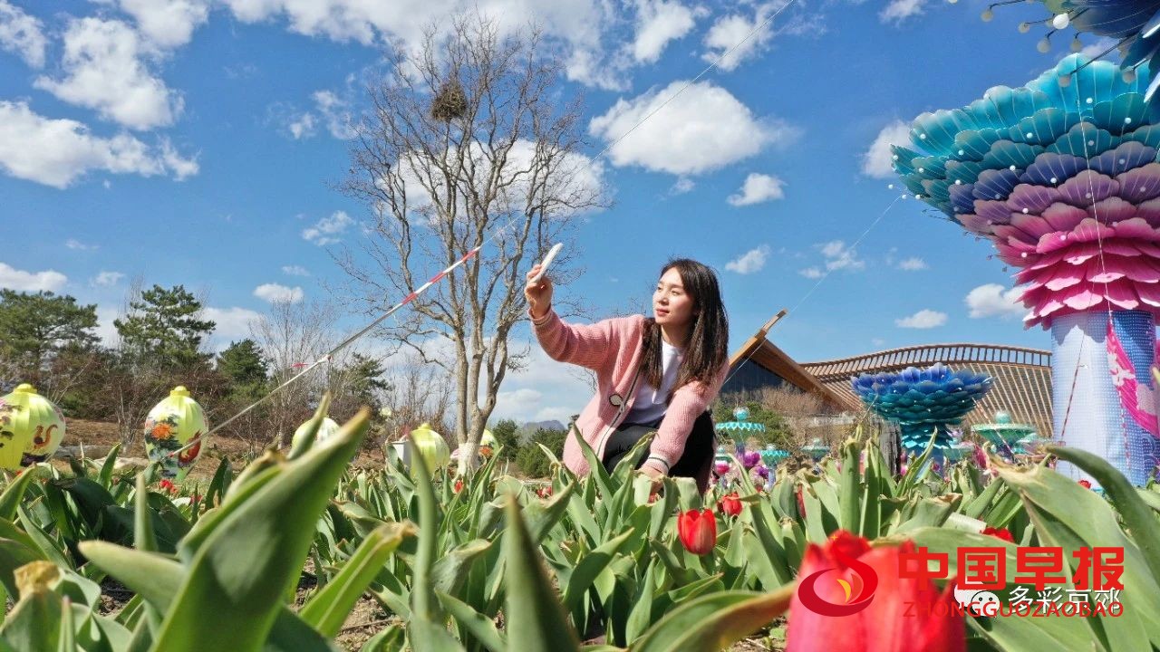 图片02.jpg