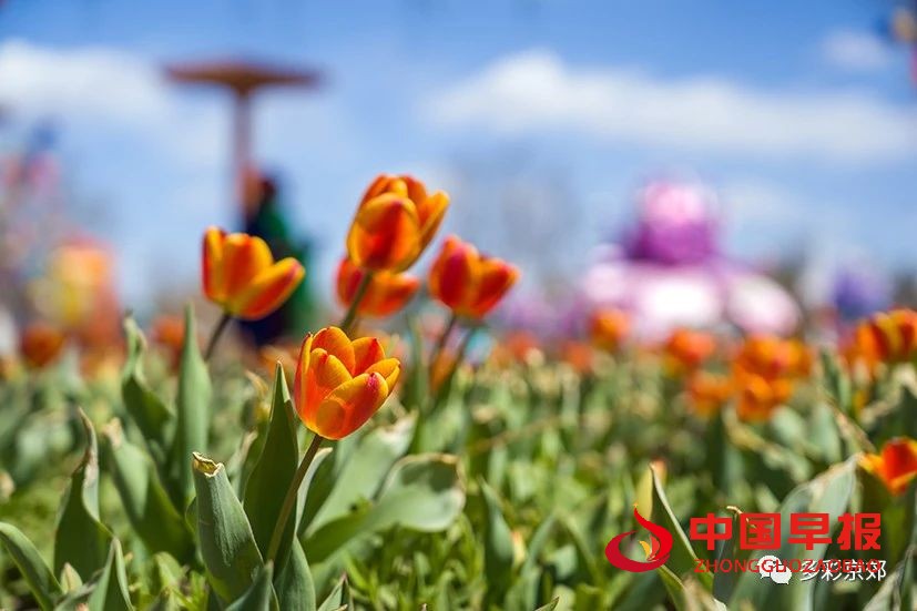 图片08.jpg