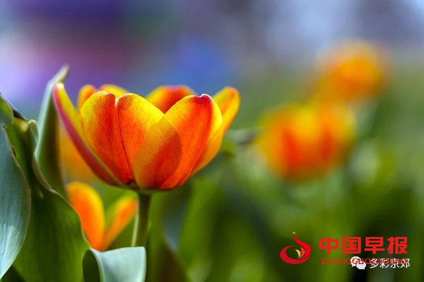 图片09.jpg