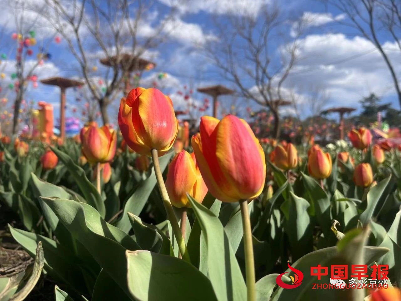 图片011.jpg