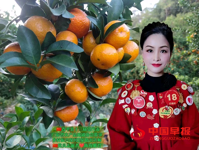 陈漫31.png
