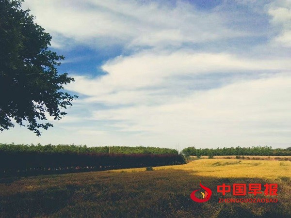 微信图片_2025-05-16_202418_267.jpg