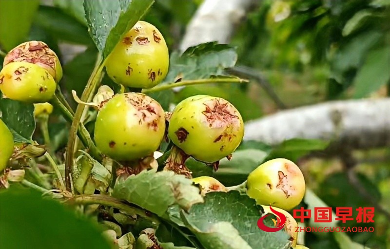 微信图片_20250601153113_副本.jpg