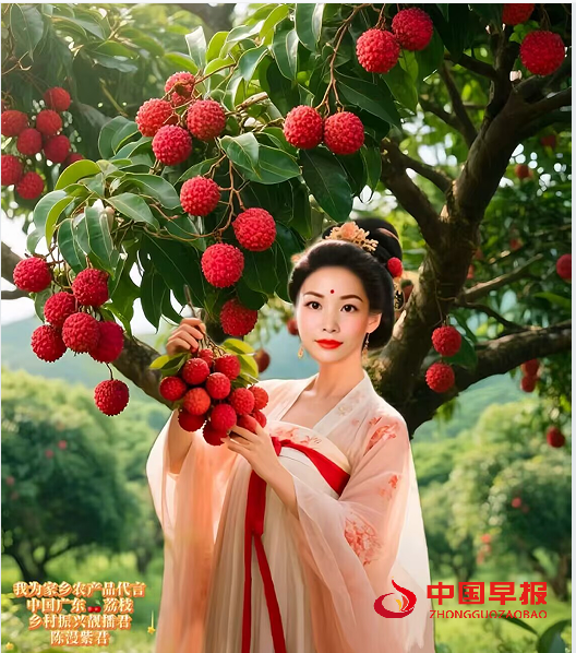 陈漫荔枝宣传.png