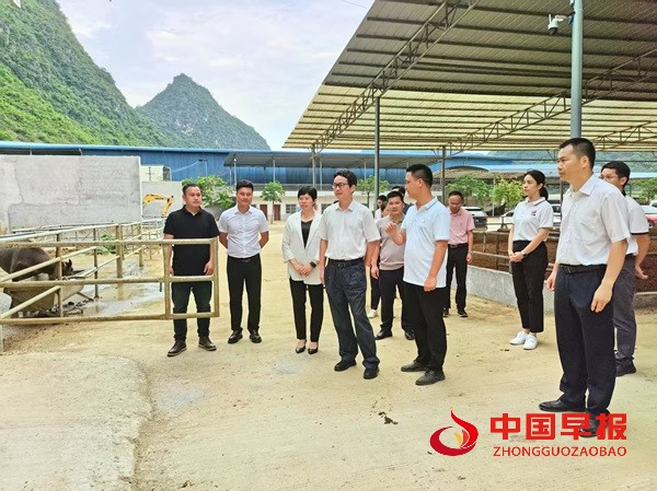 微信图片_20250611204814.jpg