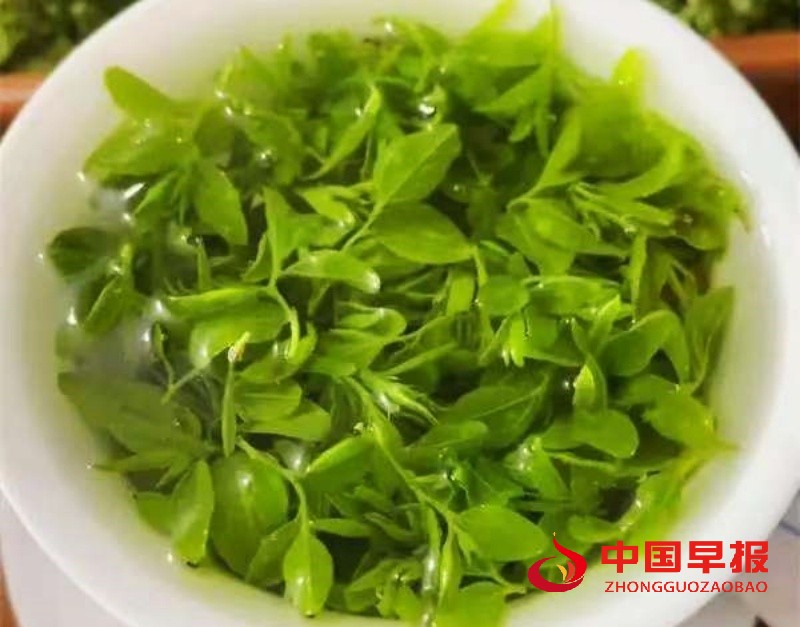 微信图片_20250820230005_副本.jpg