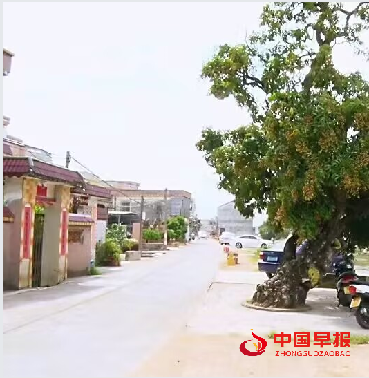 3黄图片.png