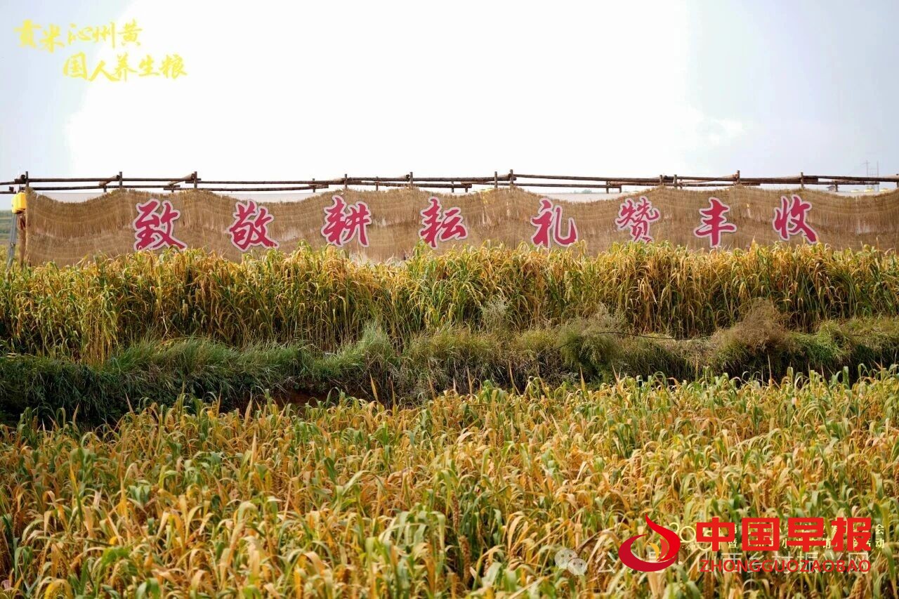 图片03.jpg
