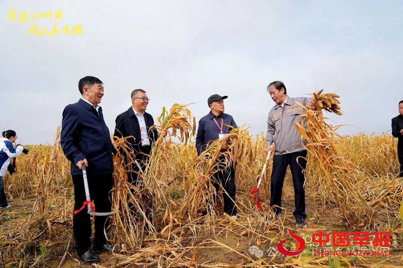 图片05.jpg