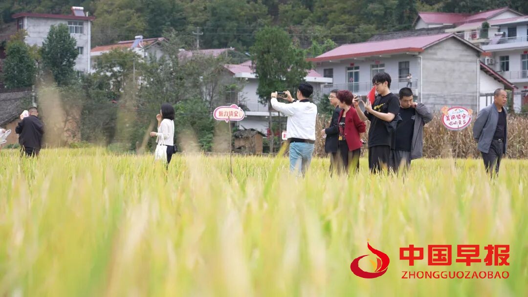 图片02.jpg